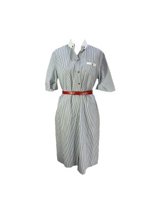 Blue Stripe Dress with Red Belt -Rental