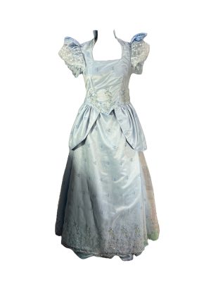 Glass Slipper Princess -Rental