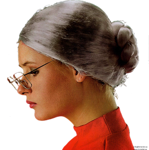 Old Lady Wig (Bin:28)
