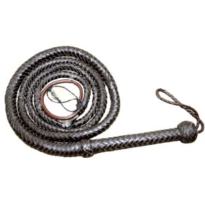 Bull Whip
