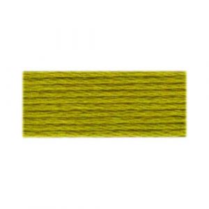 DMC 166 - Cotton 6 Strand Floss
