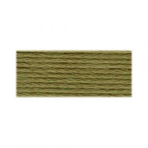 DMC 3022 - Cotton 6 Strand Floss