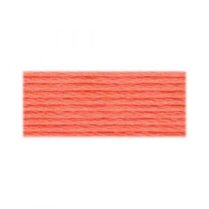 DMC 3341 - Cotton 6 Strand Floss