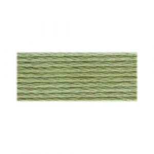 DMC 524 - Cotton 6 Strand Floss