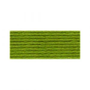 DMC 581 - Cotton 6 Strand Floss