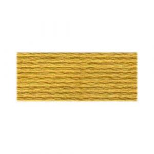 DMC 676 - Cotton 6 Strand Floss