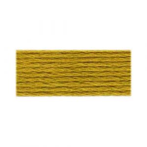 DMC 833 - Cotton 6 Strand Floss