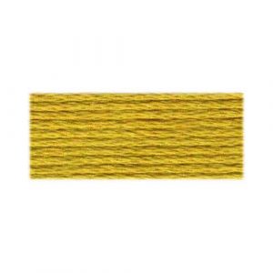 DMC 834 - Cotton 6 Strand Floss