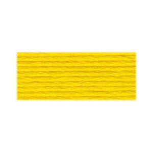 DMC 973 - Cotton 6 Strand Floss