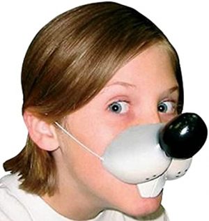Mouse Nose