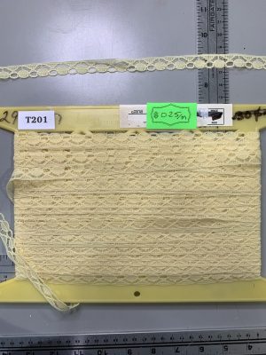 T201