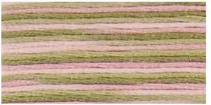 DMC 4500 - Coloris 6 Strand Floss