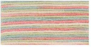DMC 4501 - Coloris 6 Strand Floss