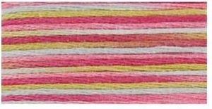DMC 4502 - Coloris 6 Strand Floss