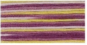 DMC 4503 - Coloris 6 Strand Floss