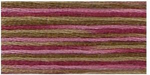 DMC 4504 - Coloris 6 Strand Floss