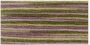DMC 4505 - Coloris 6 Strand Floss