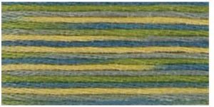 DMC 4506 - Coloris 6 Strand Floss