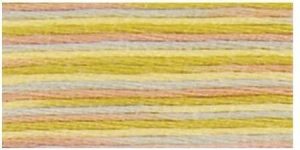 DMC 4508 - Coloris 6 Strand Floss