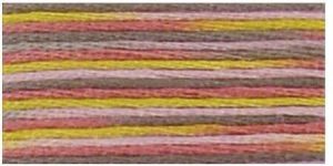 DMC 4509 - Coloris 6 Strand Floss