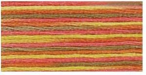 DMC 4510 - Coloris 6 Strand Floss
