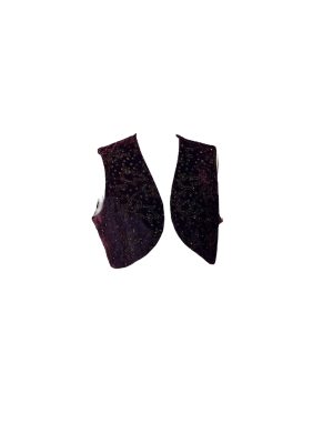 Purple Aladdin Vest -Rental