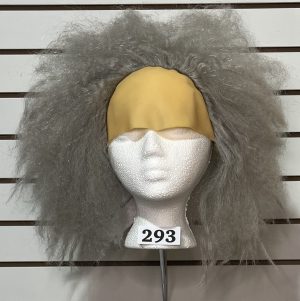 Rental Wig 0293