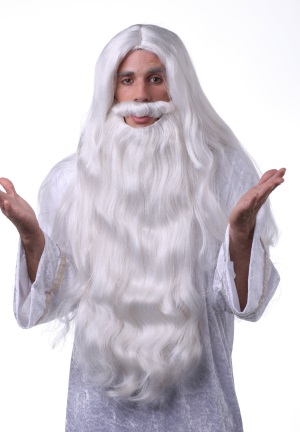 Wizard Wig and Beard (Bin:30)