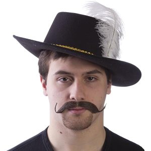 Musketeer Hat (Bin:109)