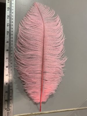 Ostrich Feathers - Pink