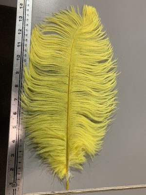 Ostrich Feathers - Yellow