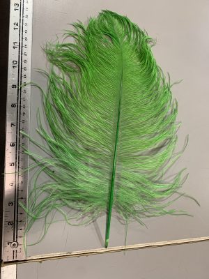 Ostrich Feathers - Lime