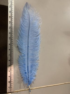 Ostrich Feathers - Light Blue