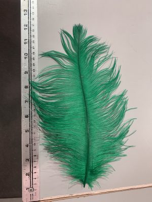 Ostrich Feathers - Green