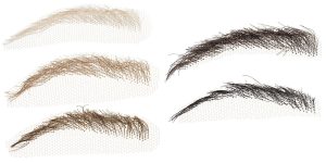 Eyebrows 9200/01