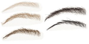 Eyebrows 9200/02
