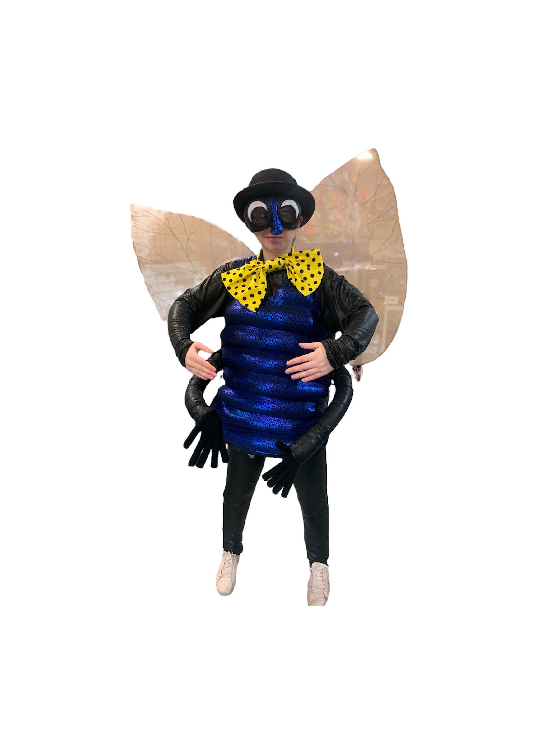 The Gnat -Rental